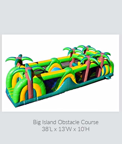 Big Island Wet-Dry Slide and Obstacle Course thumbnail 3