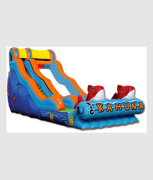 Big Kahuna Wet-Dry Slide (Water) thumbnail 2
